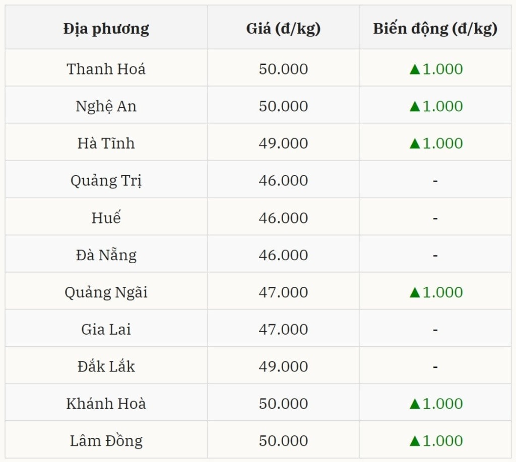 Giá heo hơi hôm nay tại miền Trung và Tây Nguyên ghi nhận tăng tại 3 tình