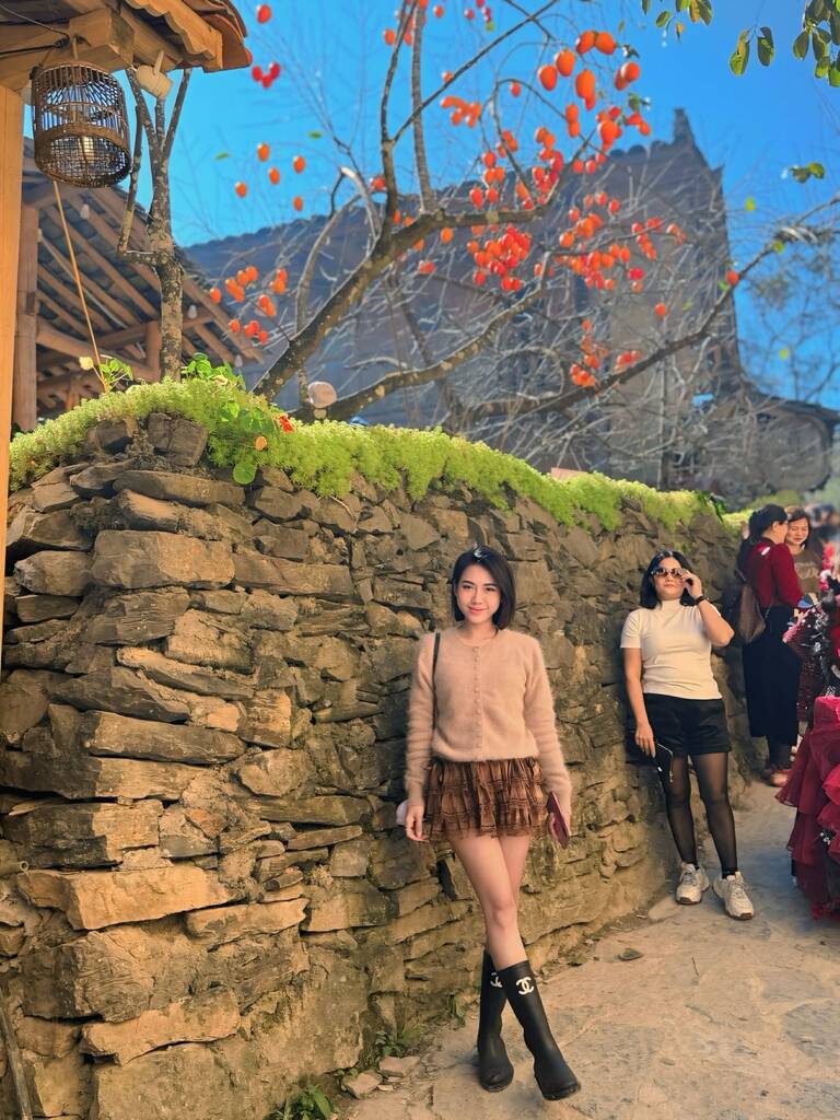 Nữ du khách chụp ảnh kỷ niệm với cây hồng. Ảnh: Bùi Thanh Tâm