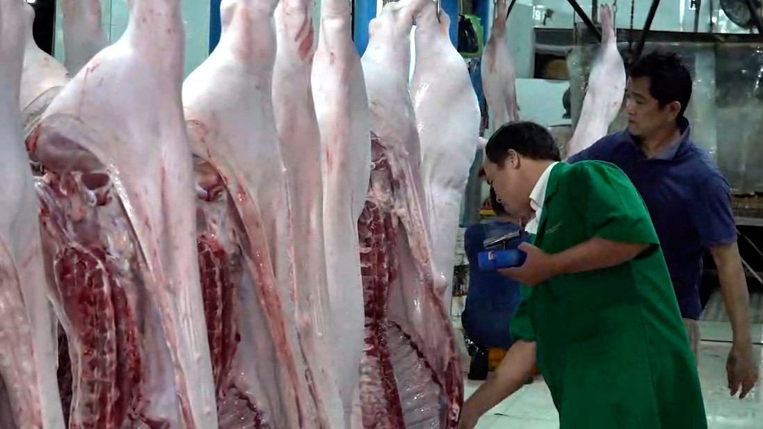 Ngành thú y thành phố tăng cường công tác  . Ảnh: Tạ Quang