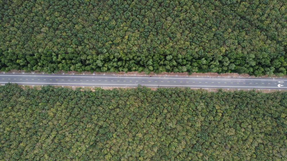 Từ trên cao nhìn xuống tuyến đường đi xuyên qua những vườn cây cao su. Ảnh: Đình Trọng