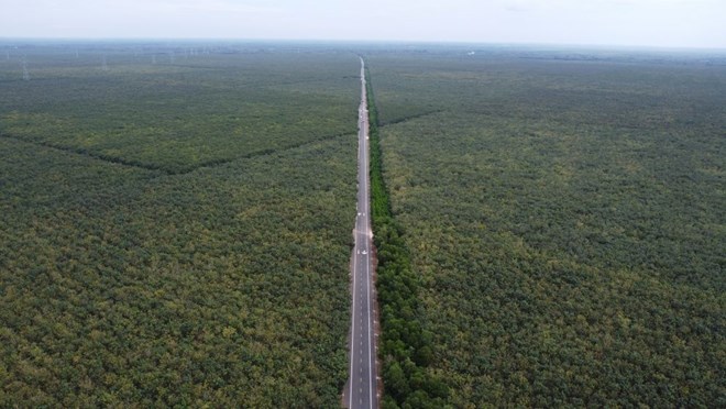 Ấn tượng  31,5 km đường Hồ Chí Minh đoạn qua những vườn cao su bạt ngàn