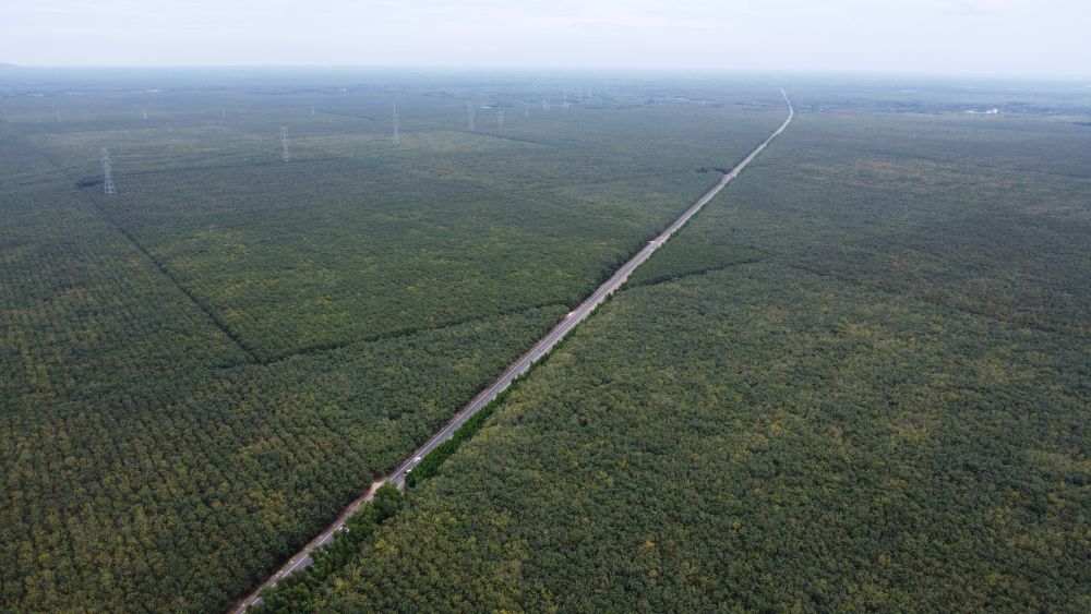 Đường Hồ Chí Minh đi qua xã Thanh An. Ảnh: Đình Trọng