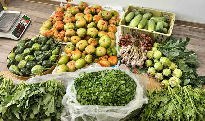 Chi tiêu gia đình đảo lộn vì giá rau đắt đỏ