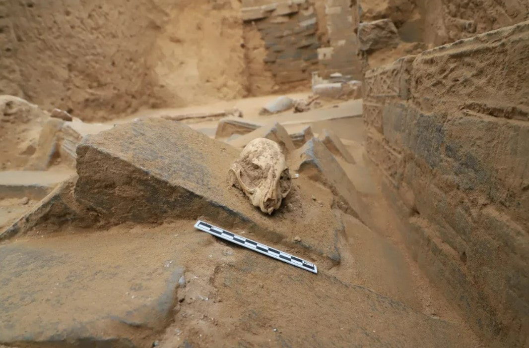 Screenshot 2025-11-29 211123