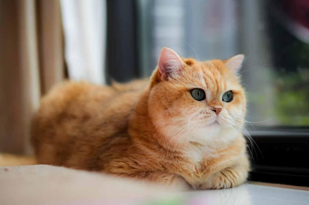 Screenshot 2025-11-29 211708