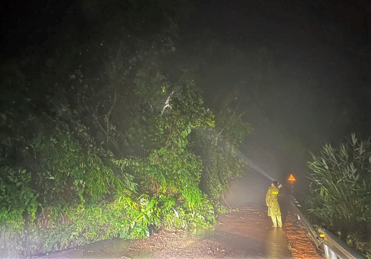 Sạt lở, cây rừng ngã đổ tại nhiều điểm trên đèo Gia Bắc khiến giao thông tê liệt. Ảnh: Phúc Khánh
