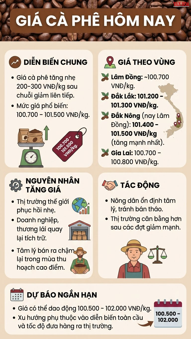 Giá cà phê hôm nay 12.12: Tăng nhẹ sau chuỗi giảm kéo dài - ảnh 3