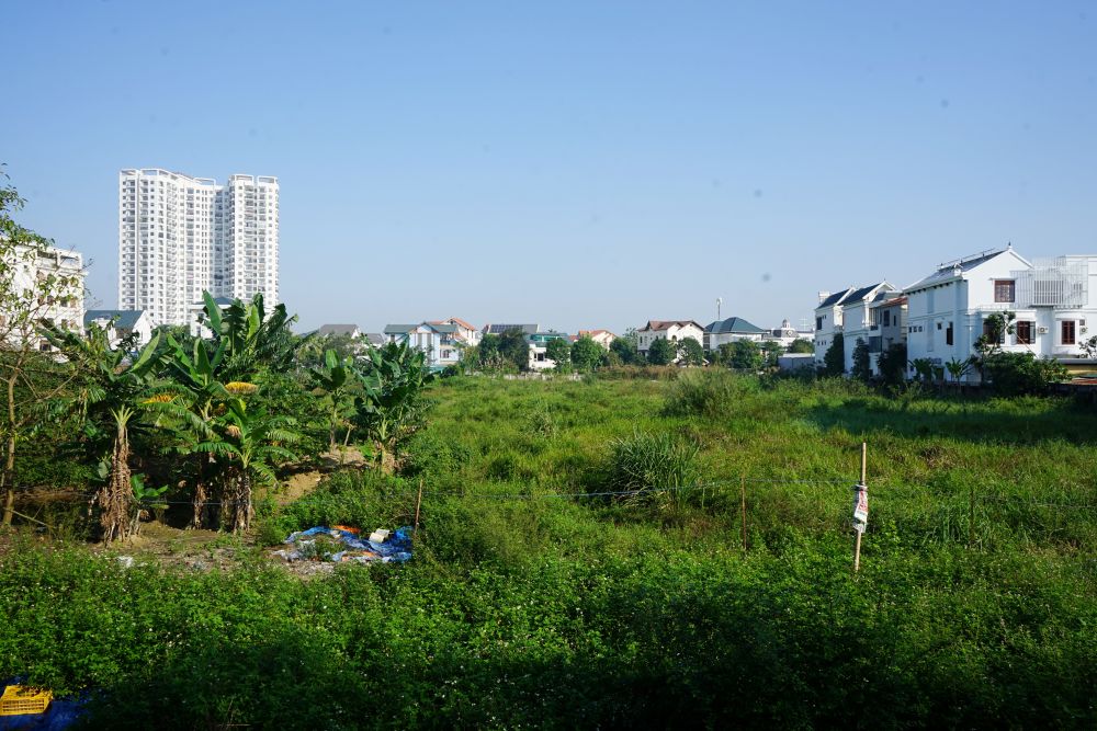 Sau gần 20 năm, dự án xây khách sạn 5 sao của vẫn chỉ là bãi đất hoang, cỏ dại mọc um tùm. Ảnh: Quách Du