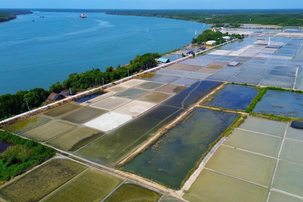 Nằm lọt thỏm giữa rừng ngập mặn Cần Giờ, ấp đảo Thiềng Liềng hiện ra như một ốc đảo bình yên, tách biệt hoàn toàn với khói bụi đô thị. Ảnh: Anh Tú