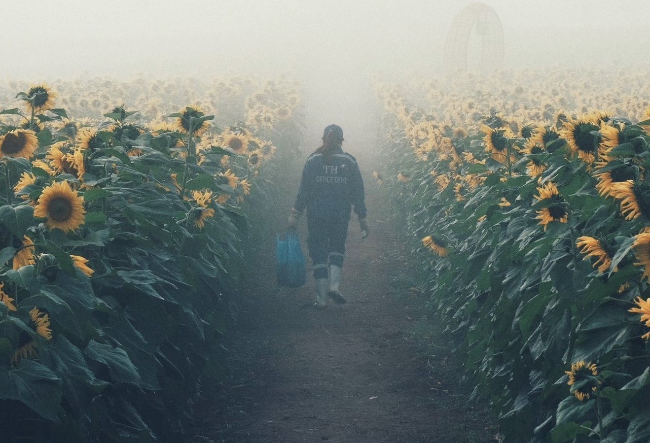 Thay vì chỉ chụp khi nắng lên, muốn chụp cả khung cảnh sương phủ mang lại vẻ đẹp cuốn hút khác biệt bạn có thể tới đây từ sáng sớm khi mặt trời chưa ló rạng.