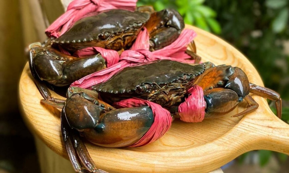 Giá cua Cà Mau tăng nóng chạm mốc 850.000 đồng/kg