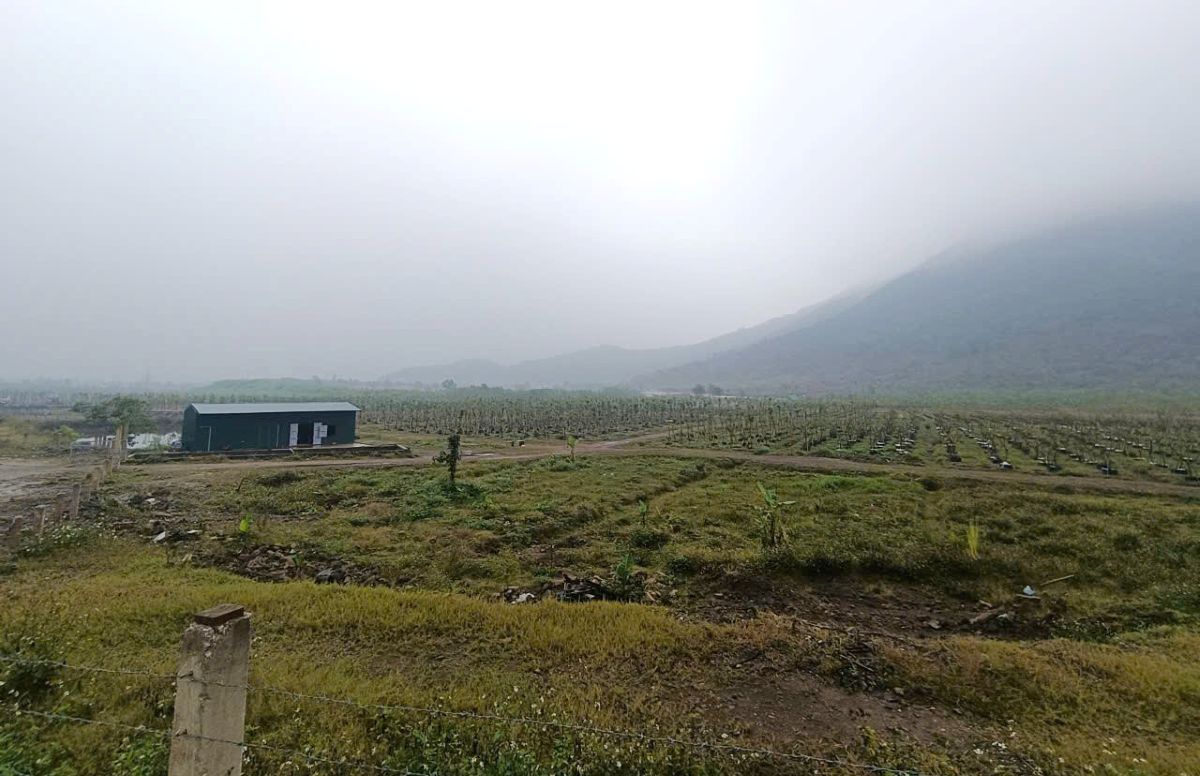 Khu vực vườn ươm cây thuộc dự án