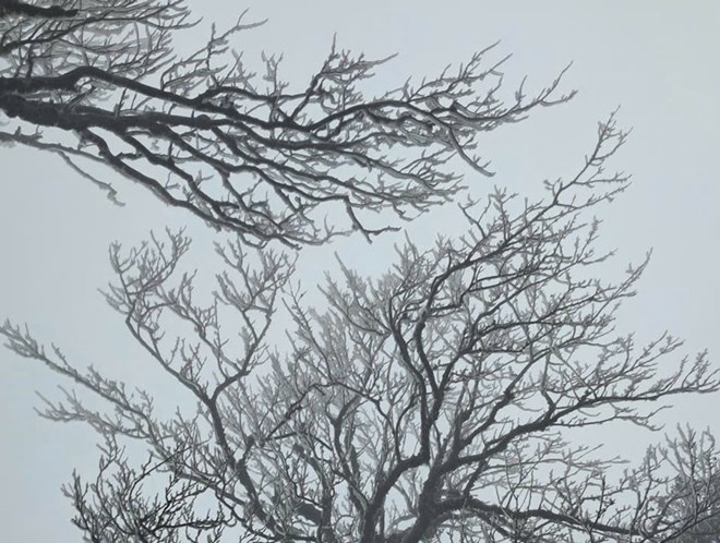 Rét hại bao trùm, thấp nhất chỉ còn 2 độ C, Mẫu Sơn tiệm cận  ngưỡng băng giá