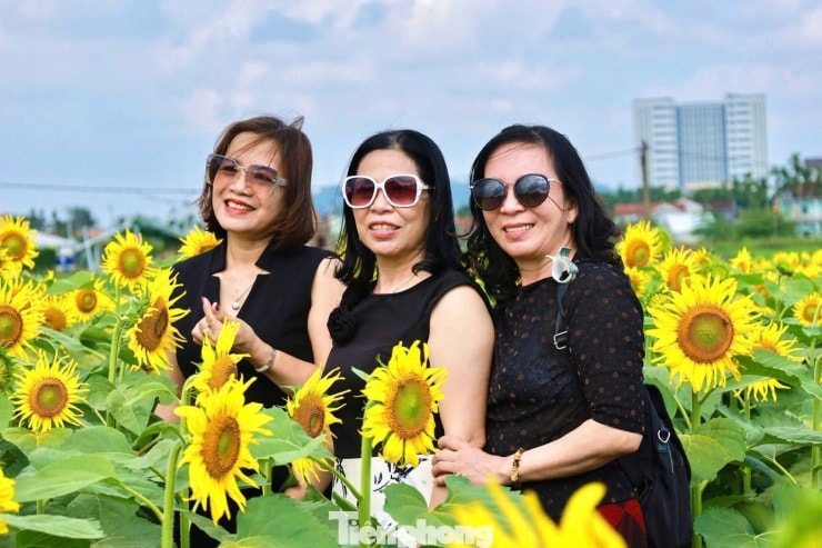 Nhiều người lớn tuổi cũng tìm đến đây để ngắm cảnh và tận hưởng không khí trong lành.