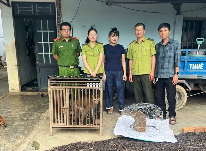 Nhiều loài động vật rừng quý hiếm ở Lâm Đồng được cứu hộ