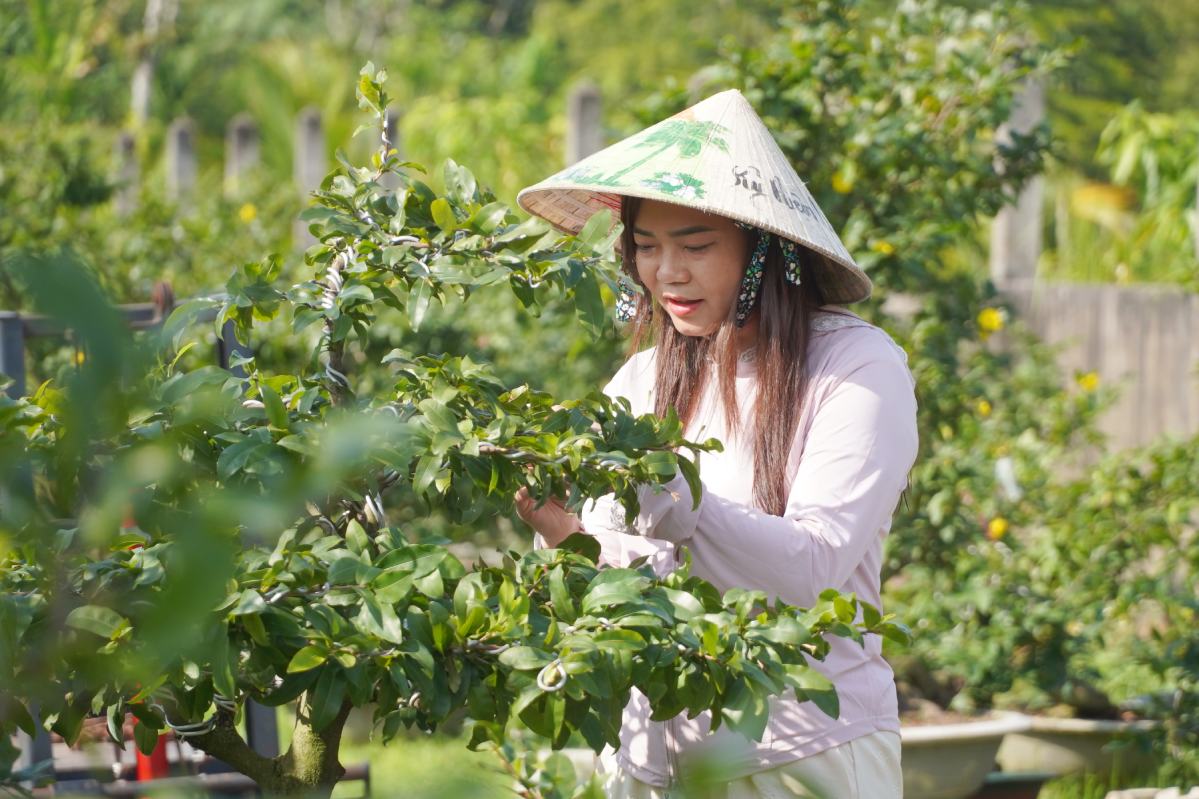 Chị Cao Thị Thùy Trang kiểm tra lại những cây mai trước khi quay video và livetream. Ảnh: Tạ Quang