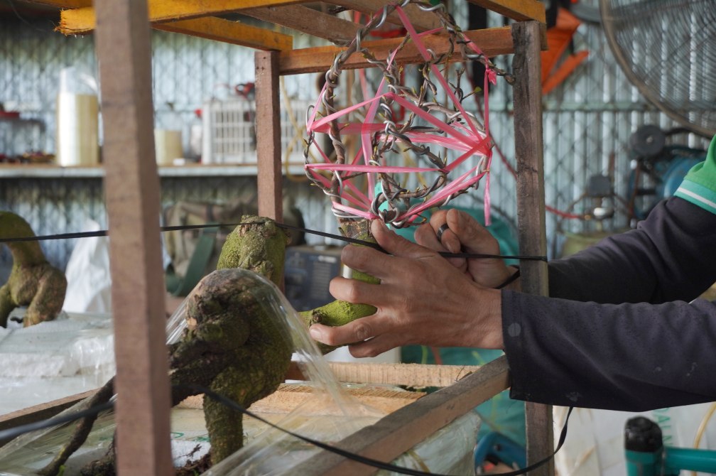 Khâu đóng hàng được nhân công đóng cẩn thận và tỉ mỉ. Ảnh: Tạ Quang