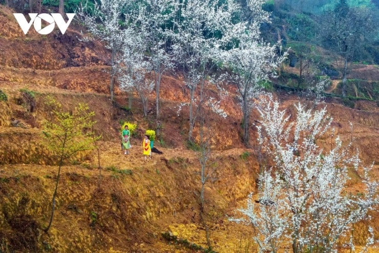 Trẻ em vui chơi trên con dốc Thẩm Mã huyền thoại tại Hà Giang.