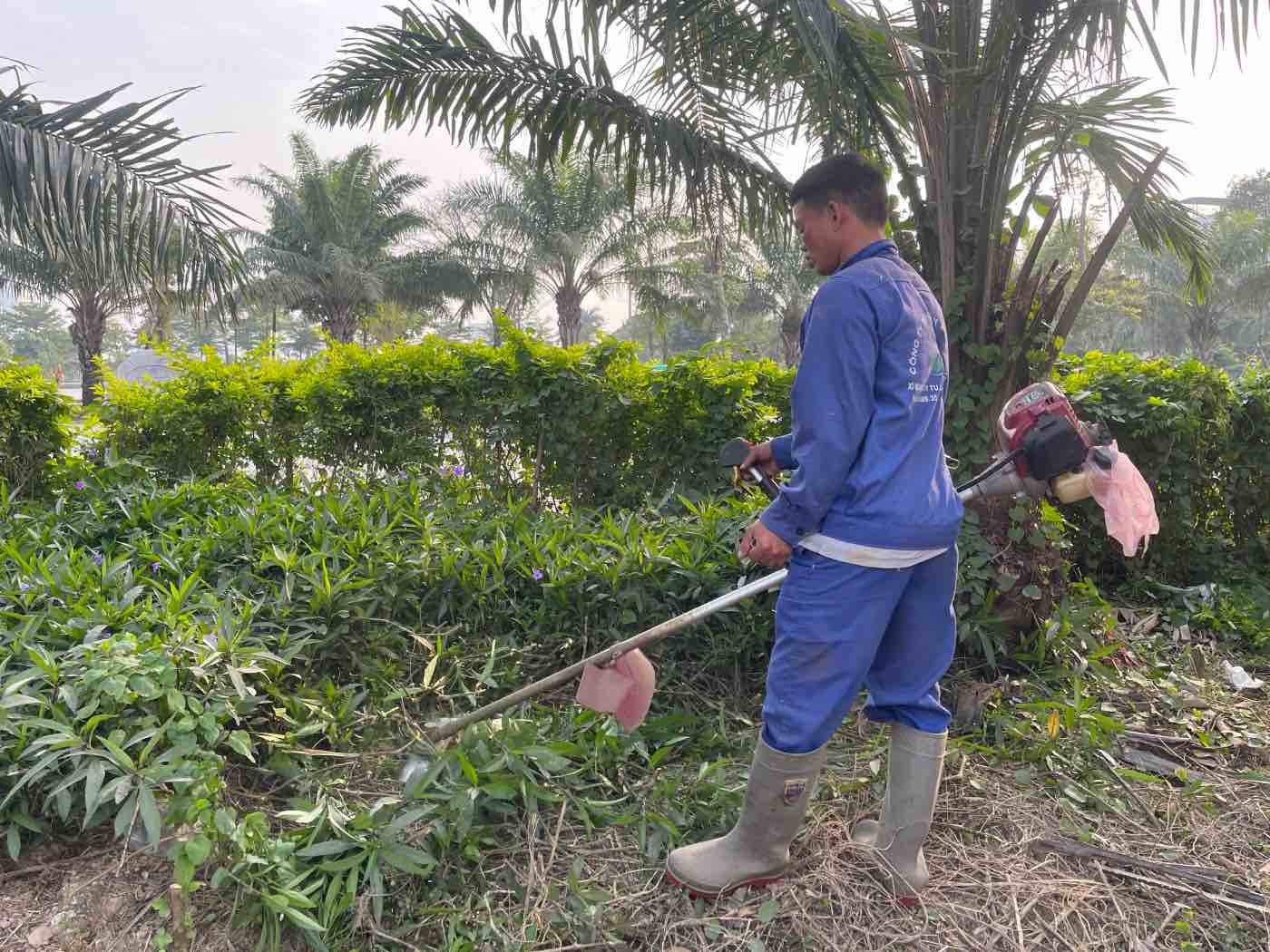 Công nhân dọn dẹp các bụi rậm, tỉa cây xanh. Ảnh: Khánh An