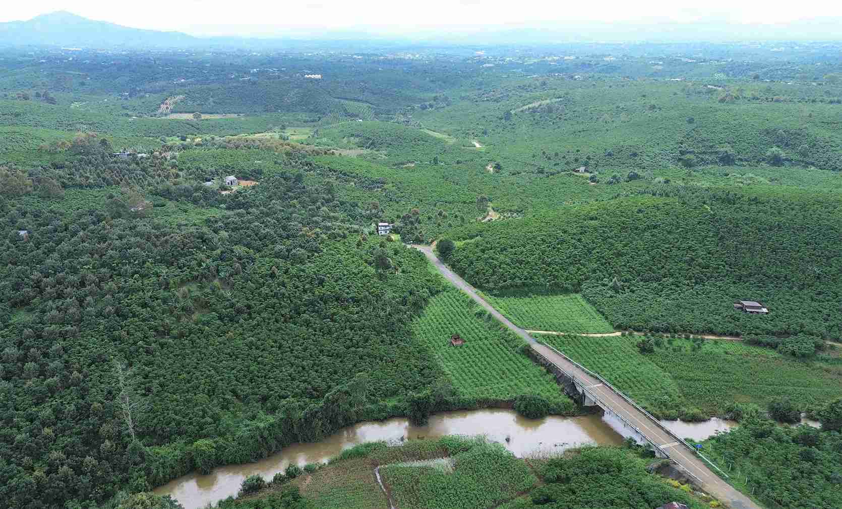 Cao tốc Bảo Lộc - Liên Khương, đoạn đi qua địa phận Phường 1 Bảo Lộc. Ảnh: Phúc Khánh