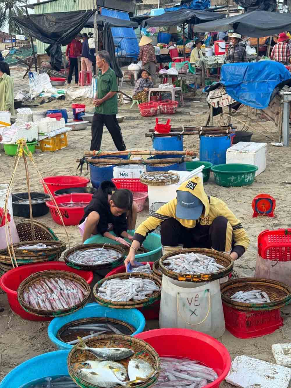 Hải sản tươi rói.