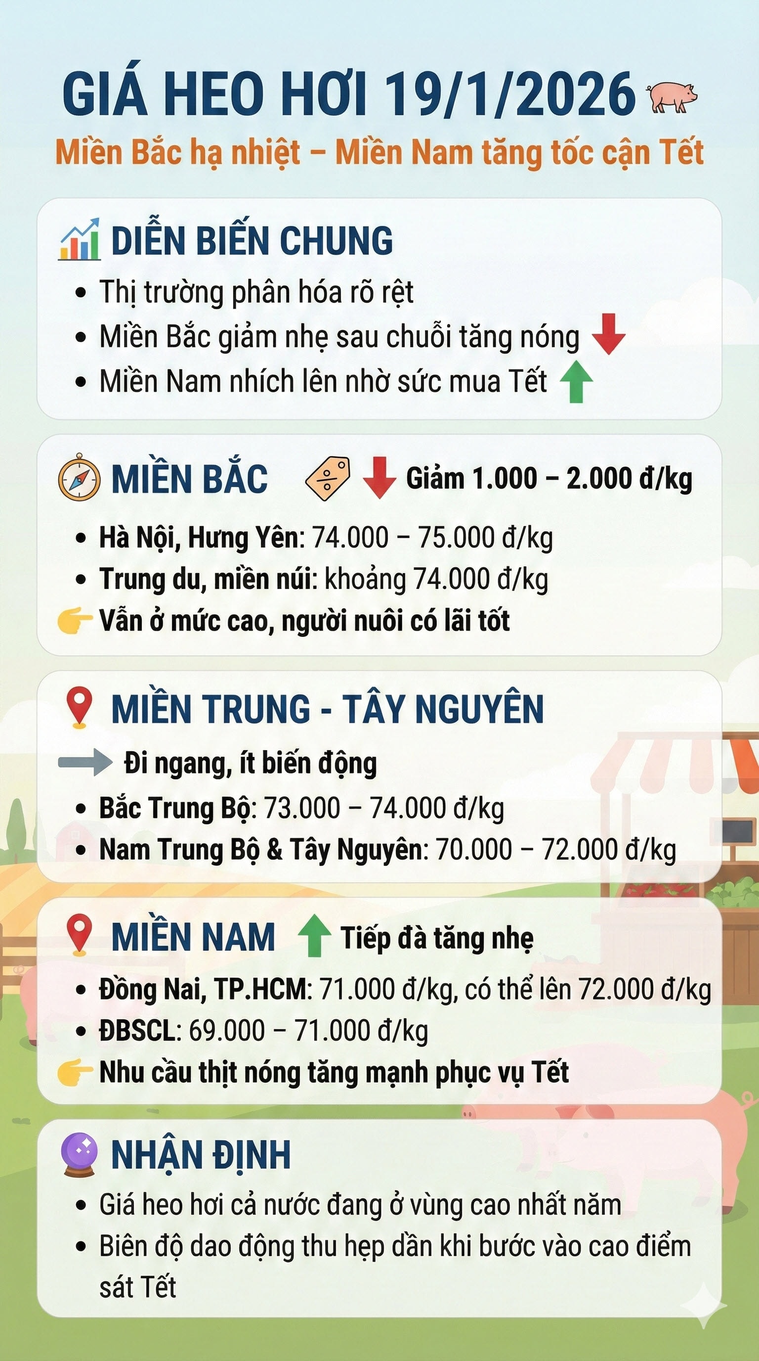 gia heo hoi 19-1-2026