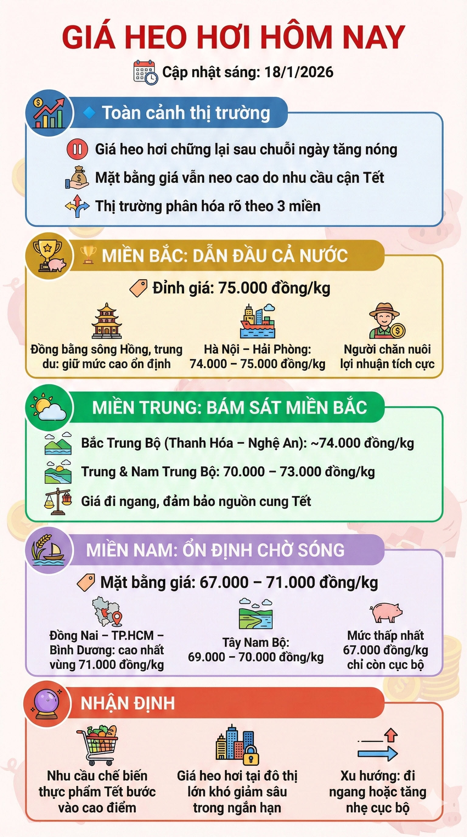 gia heo hoi 18-1-2026