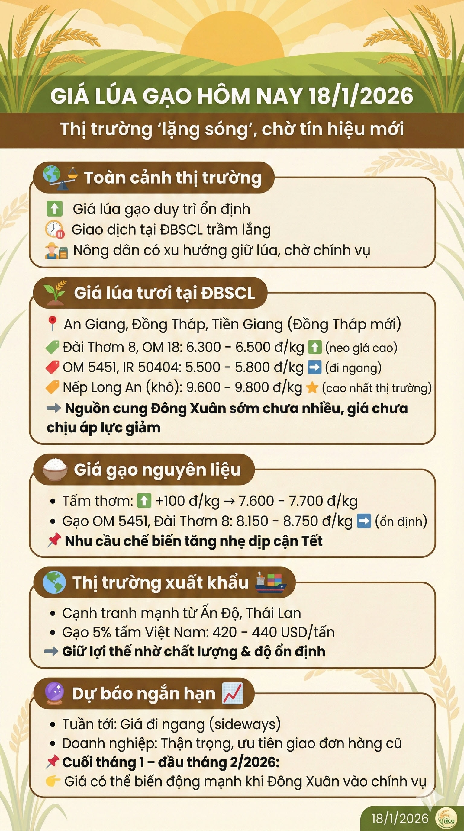 gia lua gao 18-1-2026