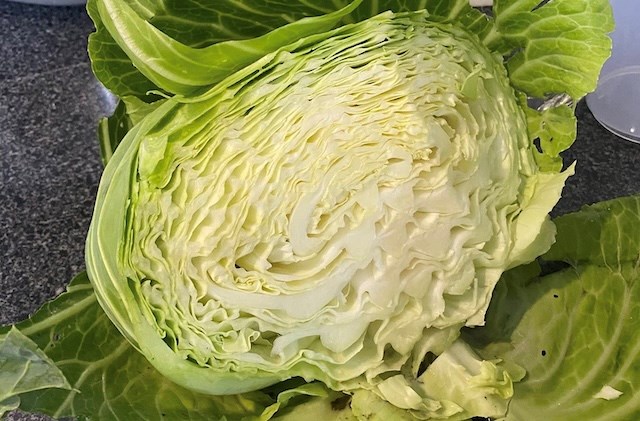 Rau bắp cải tốt cho người lao động làm việc nặng nhọc trong mùa đông