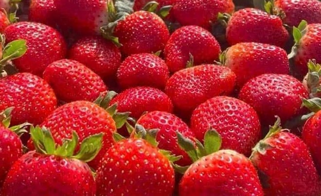 Người tiểu đường có thể bổ sung loại trái cây này vào chế độ ăn vì giàu vitamin C