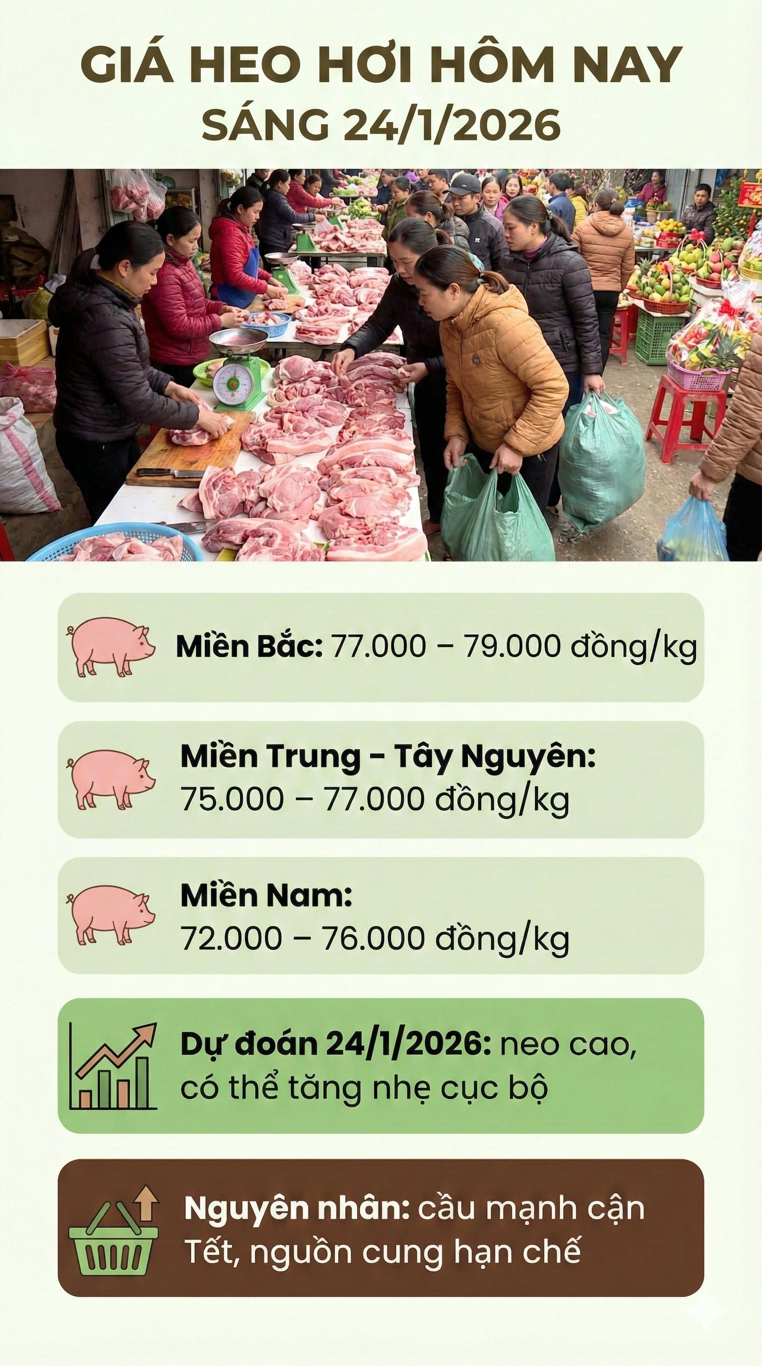 gia heo hoi hom nay 24-1-2026
