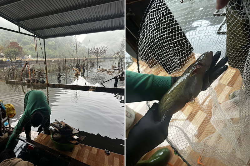 Quá trình dọn nhà người dân còn bắt được cả cá. Ảnh: Nông Hương