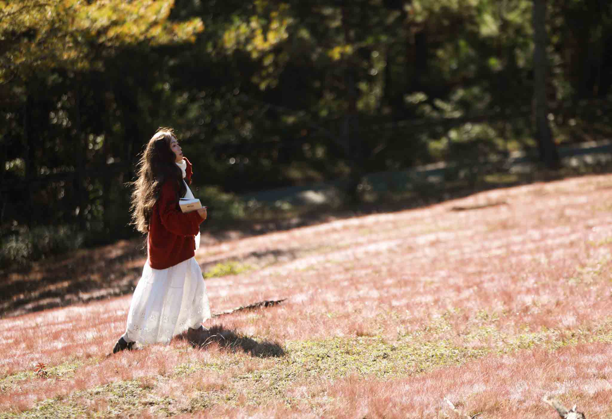 Du khách muốn những khung hình hoàn hảo tại đồi cỏ hồng, việc lựa chọn trang phục là yếu tố quyết định. Những gam màu trung tính và nhẹ nhàng như trắng, be, kem hoặc pastel luôn là lựa chọn hàng đầu, giúp bạn vừa nổi bật giữa sắc hồng mộng mơ, vừa mang lại cảm giác tinh khôi.