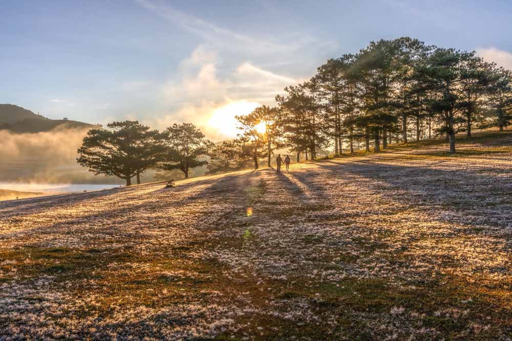 Đà Lạt những ngày sang đông trở nên quyến rũ hơn bao giờ hết khi những đồi cỏ hồng bước vào mùa khoe sắc. Từ giữa tháng 11 đến đầu tháng 12 là thời điểm đồi cỏ hồng Đà Lạt vào độ đẹp nhất.