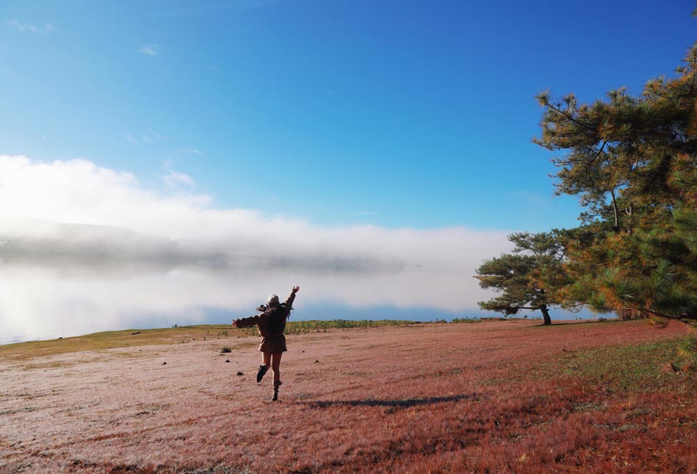 Hiện nay, khu vực gần Thung Lũng Vàng là tọa độ được du khách ưa chuộng nhất vì đường nhựa khá dễ đi, chỉ cách trung tâm thành phố khoảng 14km. Nơi đây còn được gọi bằng những cái tên thân thương như Đồi Trọc hay Đồi Cưới nhờ không gian rừng thông thưa thoáng đãng, từ lâu đã trở thành địa điểm chụp ảnh cưới kinh điển.