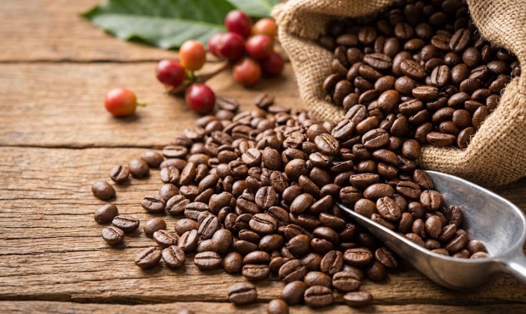 Giá cà phê hôm nay 30/1 điều chỉnh nhẹ nhưng vẫn trên 100.000 đ/kg