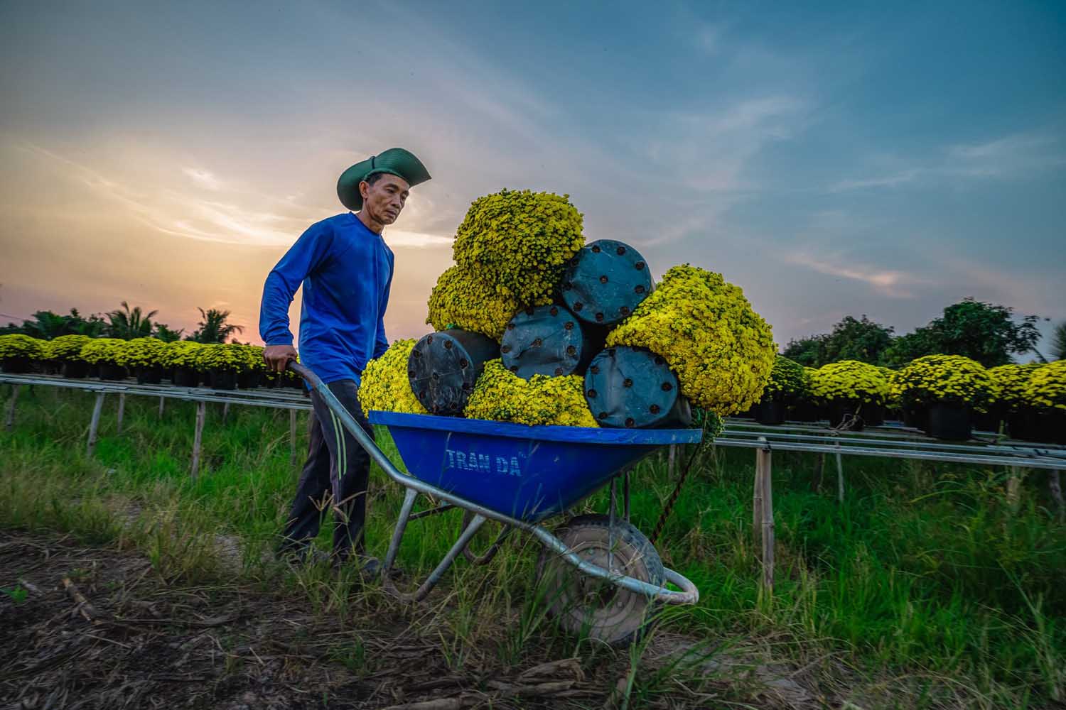 Nghề trồng hoa không chỉ nuôi sống con người mà còn là một di sản văn hóa, một sợi dây kết nối bền chặt giữa các thế hệ.