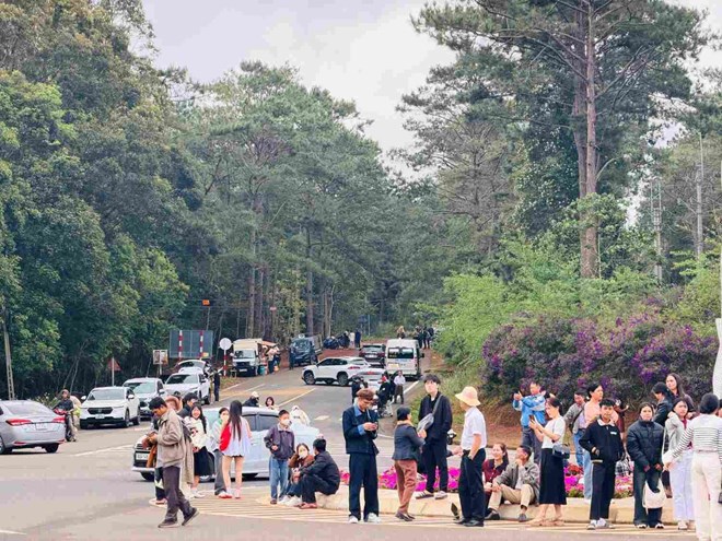 Đừng để vấy bẩn viên ngọc quý Măng Đen