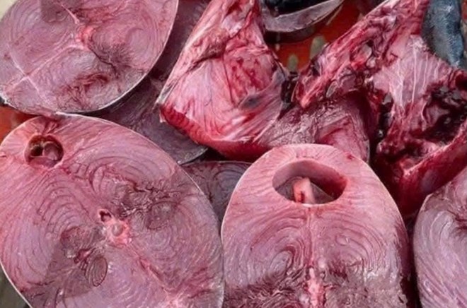 Giảm cân bằng cách ăn cá ngừ đúng cách