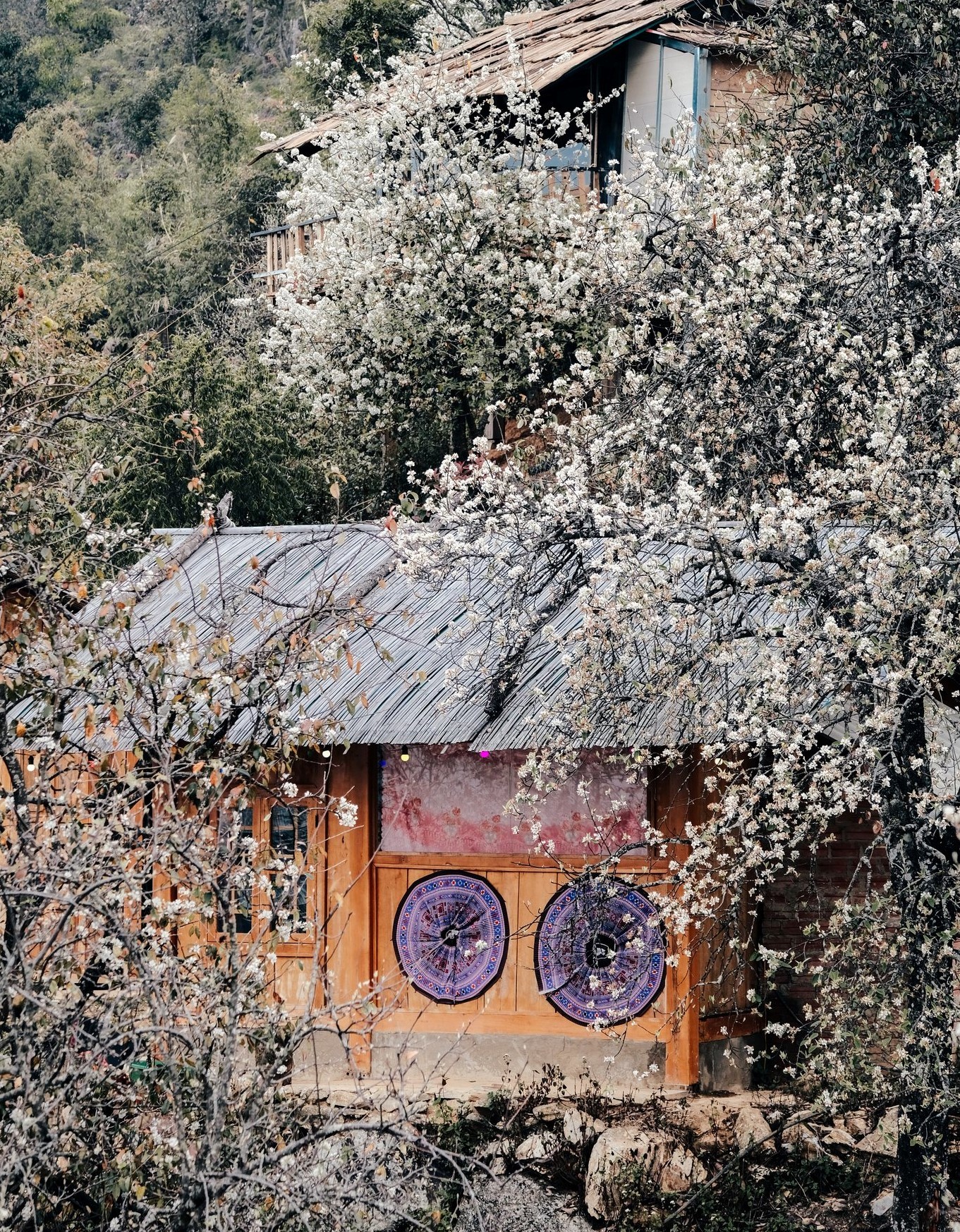 Homestay ở bản Nậm Nghẹp mới được phát triển gần đây, hầu hết cải tạo từ nhà dân giữ gìn nét mộc mạc, gần gũi thiên nhiên để du khách tận hưởng trọn vẹn nhất không gian Tây Bắc.