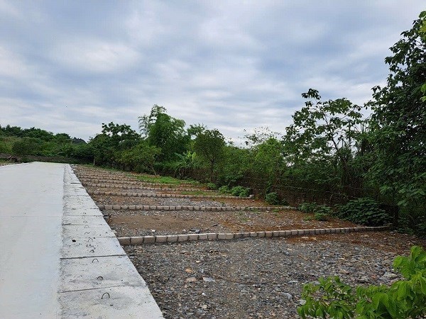 Giá đất nền tăng cao, người mua ở thực dè dặt xuống tiền