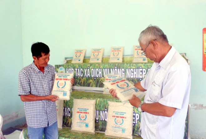 Doanh nghiệp ĐBSCL tăng liên kết, tối ưu chi phí