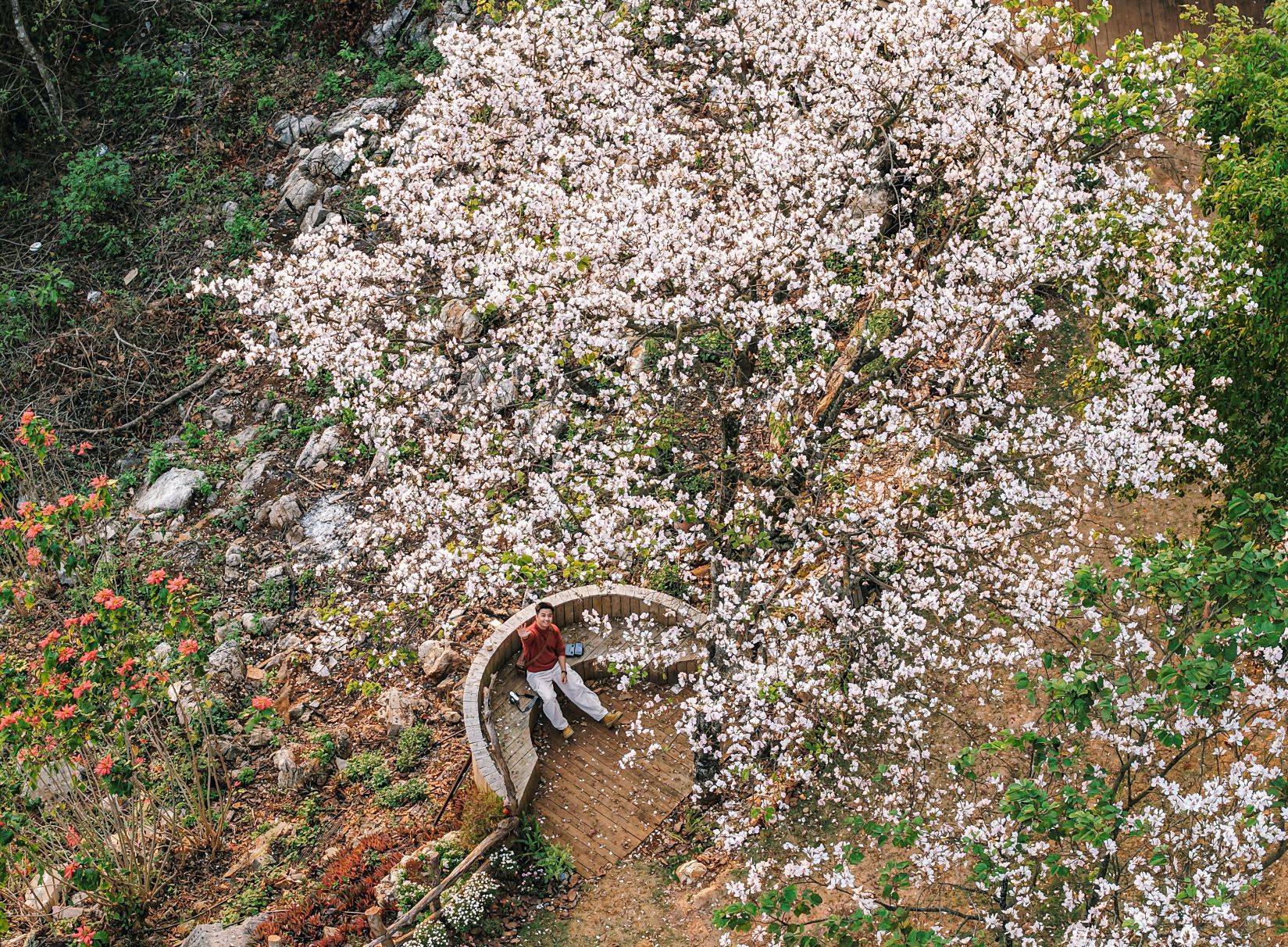 Một góc check-in độc đáo với mùa hoa ban ở Mu Náu, Mộc Châu. Mu Náu Farm là một tổ hợp rộng, không gian yên bình với các dịch vụ quán cà phê, nhà hàng hợp để tụ họp theo nhóm.