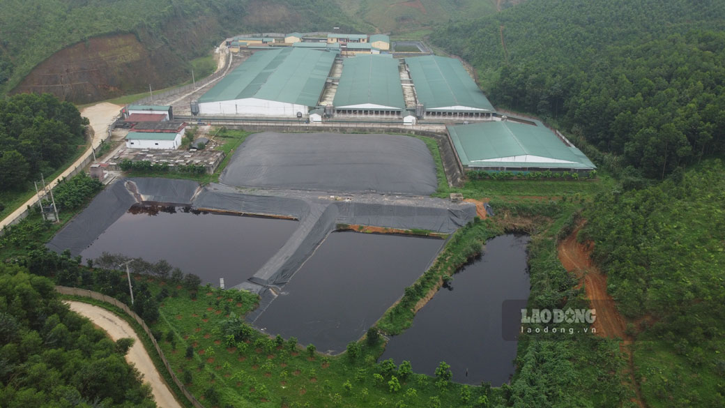 Toàn cảnh trang trại lợn quy mô lớn của Công ty TNHH MTV Phúc Hưng Yên Bái nhìn từ trên cao.