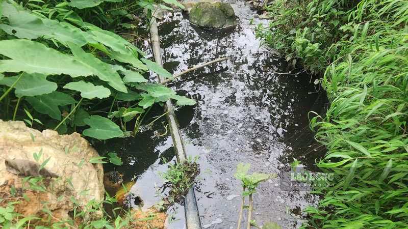 Dòng nước thải đen kịt lan ra khu vực suối tự nhiên, tạo thành lớp nước đục, nổi bọt, có dấu hiệu ô nhiễm nghiêm trọng. Ảnh: Duy Dũng