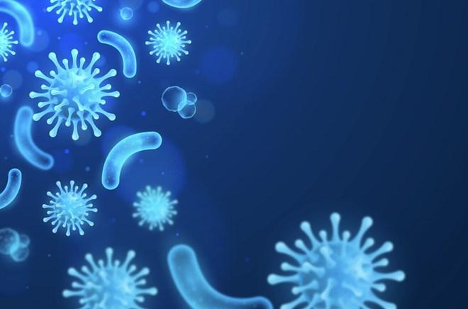 Men vi sinh tồn tại trong cơ thể bao lâu