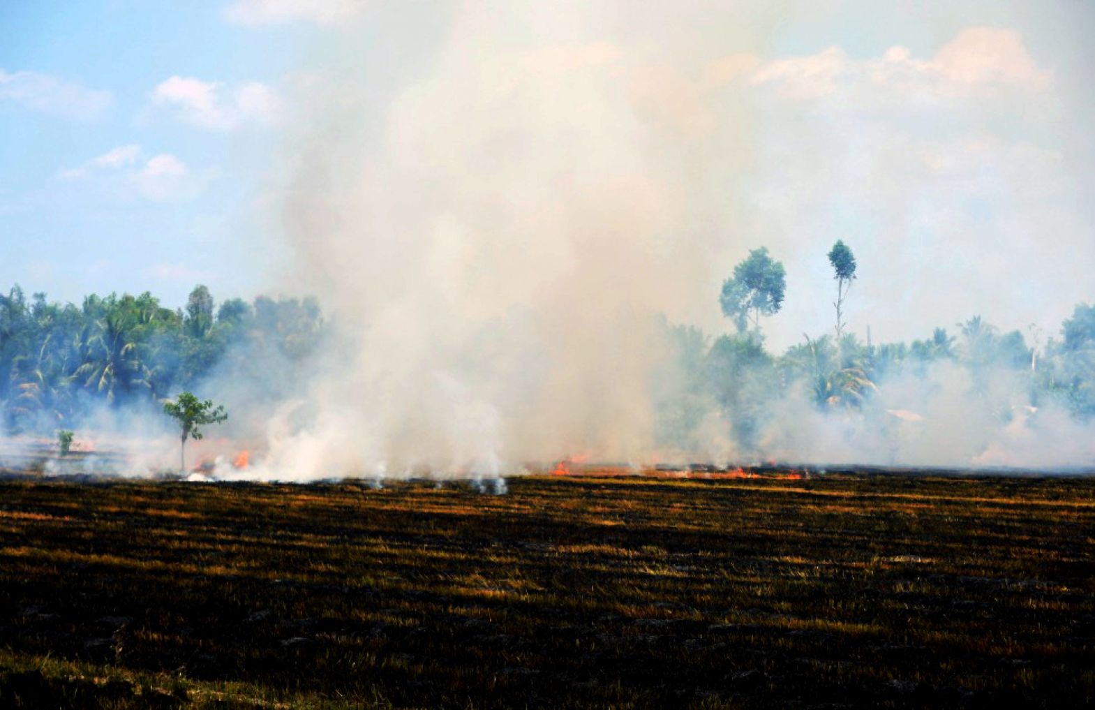 Thời điểm này, việc đốt đồng đang xảy ra phổ biến tại nhiều địa phương. Ảnh: Tạ Quang