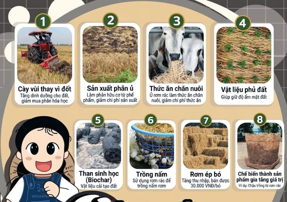 8 cách biến tấu rơm rạ thành vật có giá trị kinh tế ở Thái Lan. Ảnh: Tư liệu Nguyễn Phước Tuyên