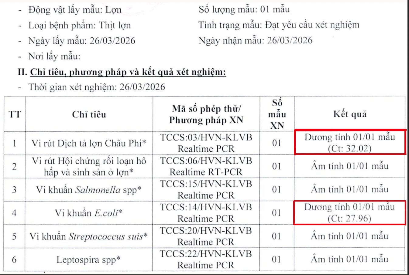 Kết quả xét nghiệm thịt lợn dượng tính với virus tả châu Phi.