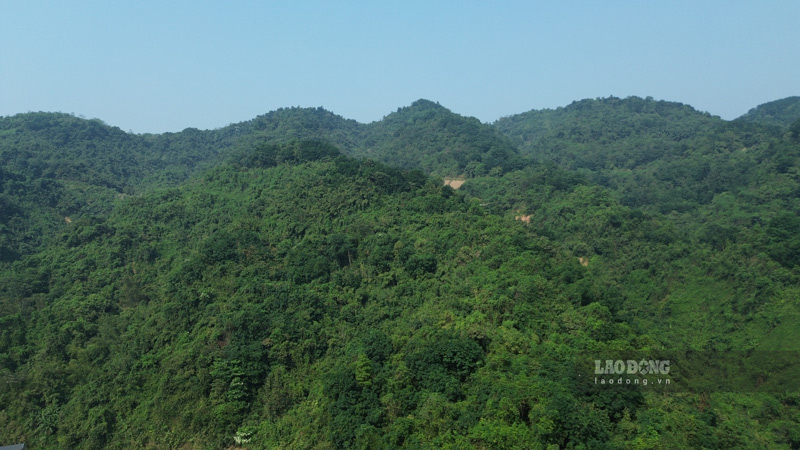 Hàng trăm héc ta đất được cấp cho Công ty TNHH Thương mại Hoàng Lan để thực hiện dự án nông nghiệp. Ảnh: Đinh Đại